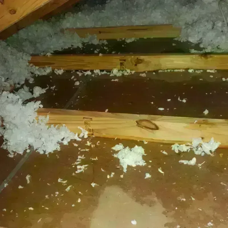 Attic Water Damage in Biltmore Forest, NC